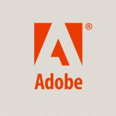 ADOBE ACROBAT DC 2020 Standard Win PL