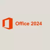 Microsoft Professional Plus 2024 EDU PL