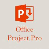 Microsoft Project Professional 2021 PL