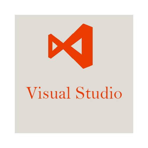 Microsoft Visual Studio Professional 2022 PL