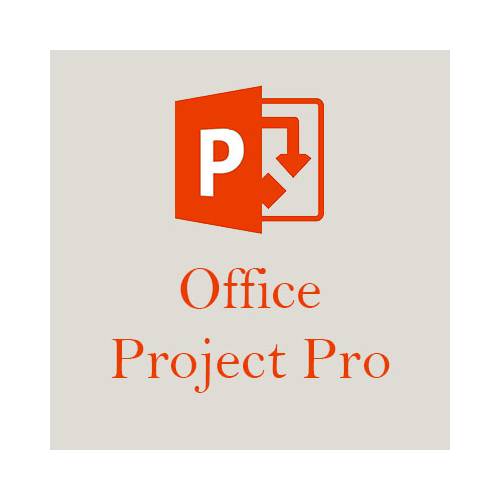 Microsoft Project Professional 2021 PL