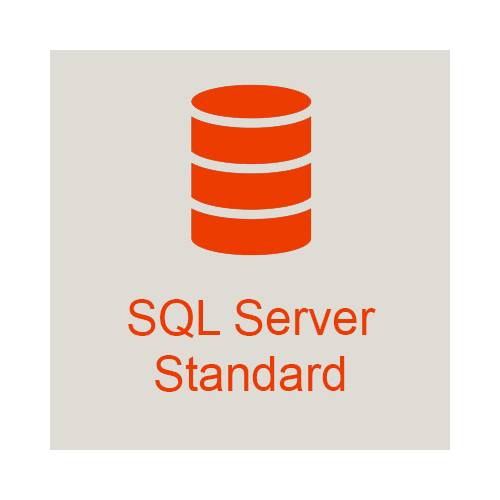 Microsoft SQL Server 2019 Standard + 45 User Cals