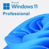 Microsoft Windows Pro 11 64 bit OEM DVD PL