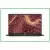 Dell Latitude 7430 i5-1245U/16/256M.2/14''/W11P