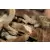 Canon Macro lens ef 100mm 1:2.8 USM A-