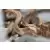 Canon Macro lens ef 100mm 1:2.8 USM A-