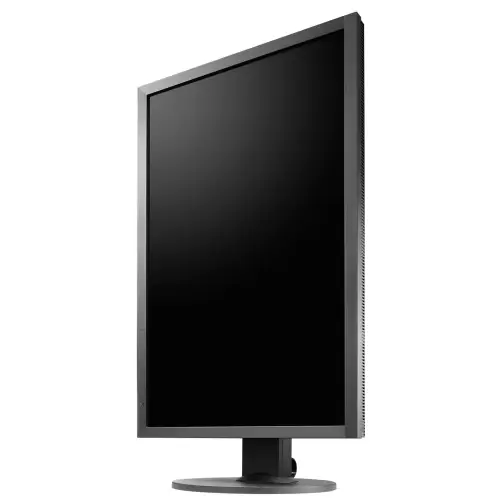 Eizo ColorEdge CS2420 W24