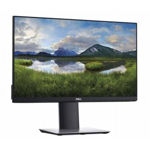 Monitor biurowy DELL Professional P2419H 24'' D