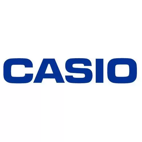 Casio XJ-A252