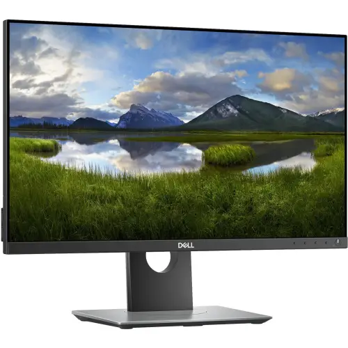 Dell Professional P2418D 24" A