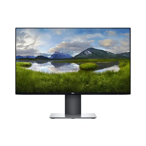 Dell U2421HE 24'' A