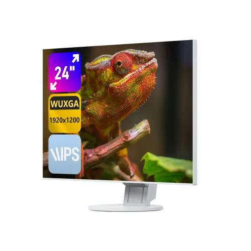 Eizo FlexScan EV2456 24" B White