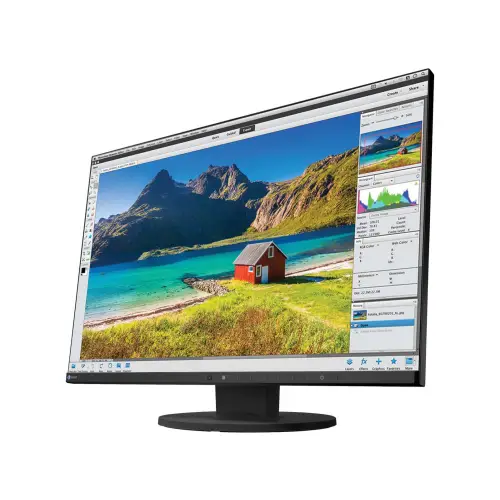 Eizo FlexScan EV2455 W24