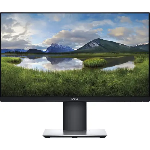 Dell P2219H W22" B