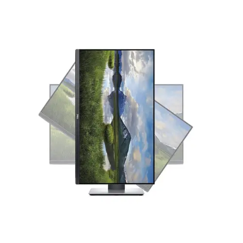 DELL Professional P2419H 24'' HDMI FULL HD A