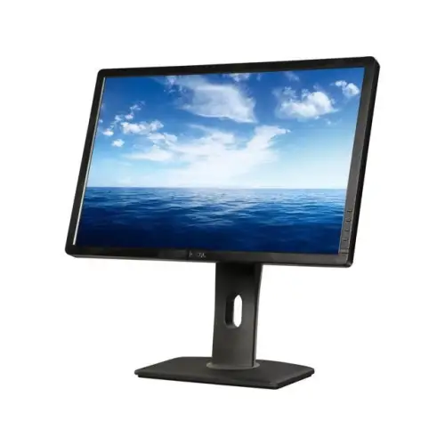DELL P2213F W22"