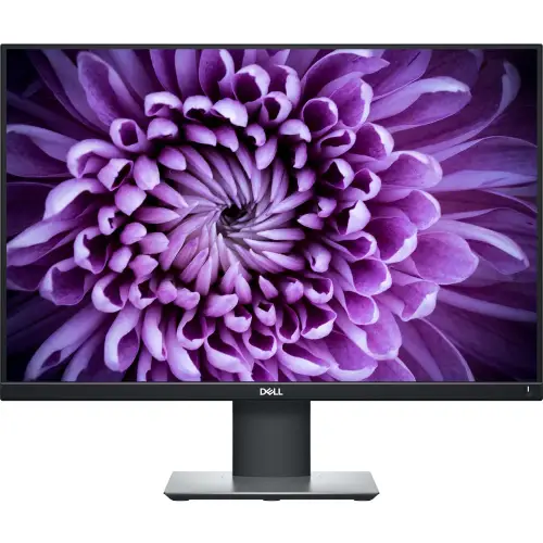 Dell P2421 24'' A