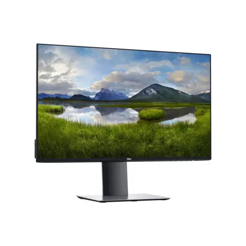 Dell U2421HE 24'' A