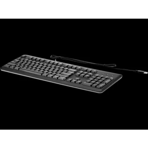 Klawiatura HP USB QY776AA Standard